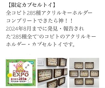 こびとEXPO アクリルキーホルダー　バラ売り可能 バラ売りOK 新品未使用 こびとづかんEXPO 限定アクリル